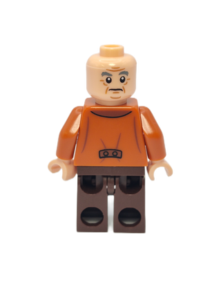 Horace Slughorn - Dark Tan Vest, hp171 Minifigure LEGO®