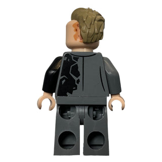 Two-Face, sh1023 Minifigure LEGO®