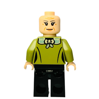 Sleeping Witch, hp547 Minifigure LEGO®