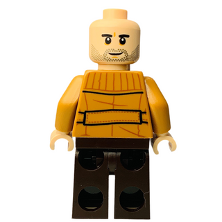 Poe Dameron, sw1145 Minifigure LEGO®