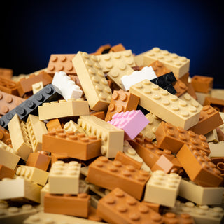 Life-Sized Eon Building Kit Bricker Builds