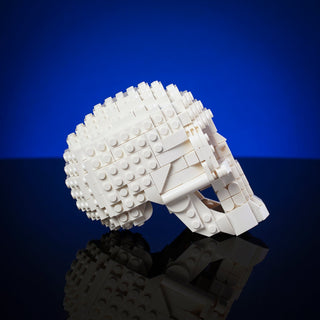 Skull Building Kit Bricker Builds