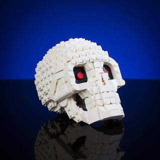 Skull Building Kit Bricker Builds