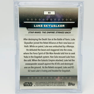 Luke Skywalker with Trading Card & Collector’s Case Minifigure LEGO®