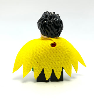 Robin, sh0588 Minifigure LEGO®