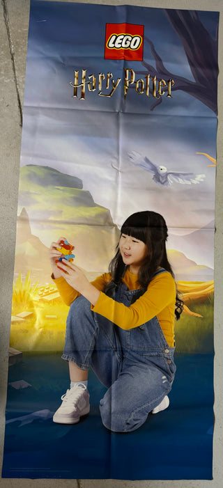 Cloth Banner - Harry Potter Double Sided Cloth Banner United Brick Co®