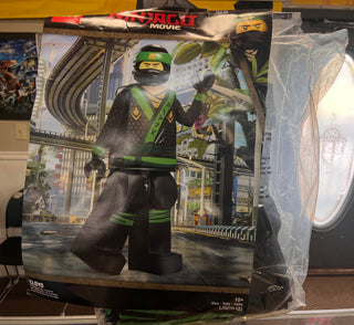 Lloyd The Lego Ninjago Movie Costume  LEGO®