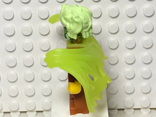 Mr. Clarke, hs016 Minifigure LEGO®