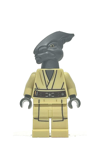 Coleman Trebor, sw0480 Minifigure LEGO® Used