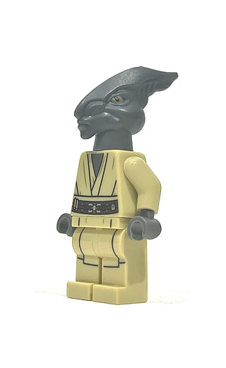 Coleman Trebor, sw0480 Minifigure LEGO® Slightly Used