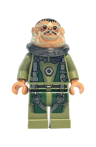 Bistan, sw0780 Minifigure LEGO®