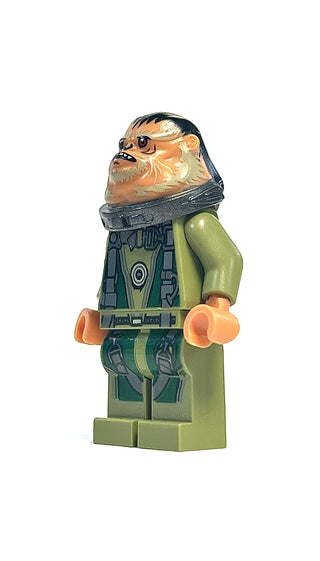 Bistan, sw0780 Minifigure LEGO®