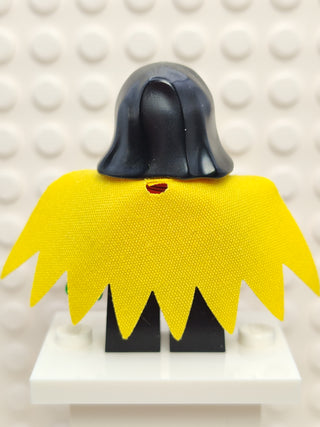 Robin - Hood, sh0289 Minifigure LEGO®