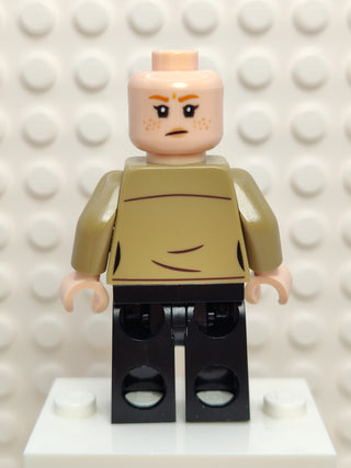 Ginny Weasley - Epilogue, hp388 Minifigure LEGO®