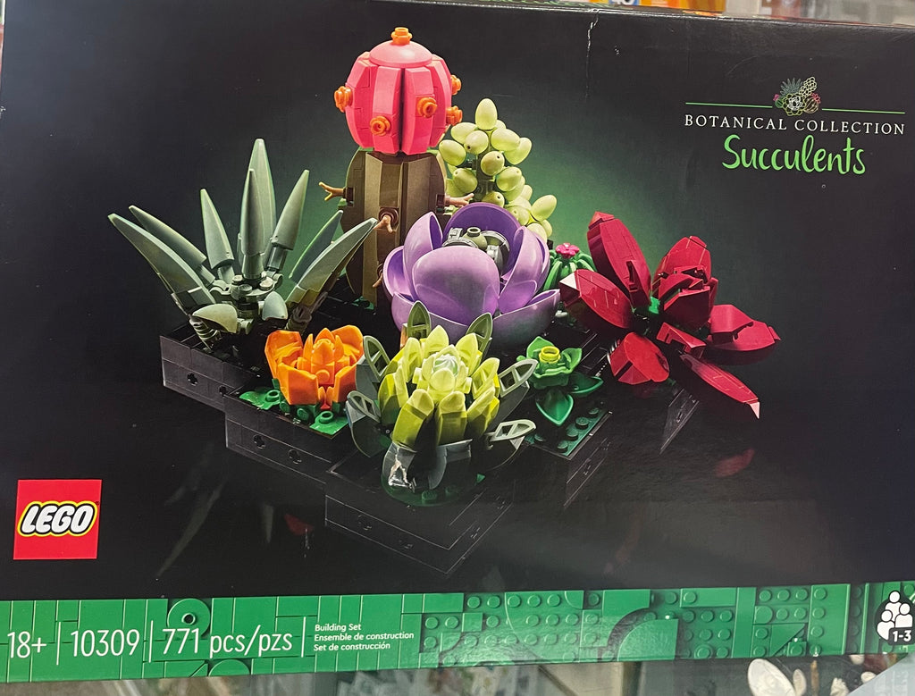 Succulents offers 10309 botanical collection