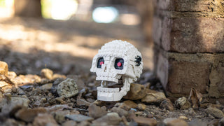 Skull Building Kit Bricker Builds