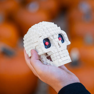 Skull Building Kit Bricker Builds
