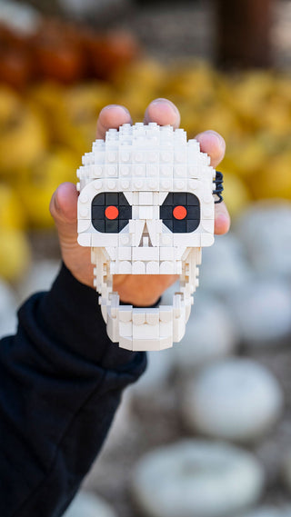 Skull Building Kit Bricker Builds