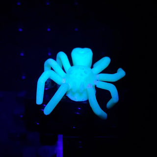 Spider, Elongated Abdomen - 29111 LEGO® Animals LEGO® Glow in the Dark