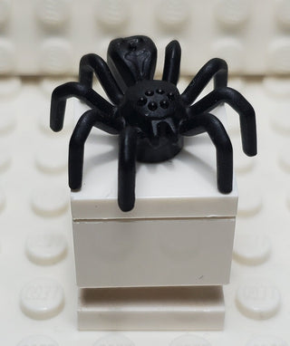 Spider, Elongated Abdomen - 29111 LEGO® Animals LEGO® Black