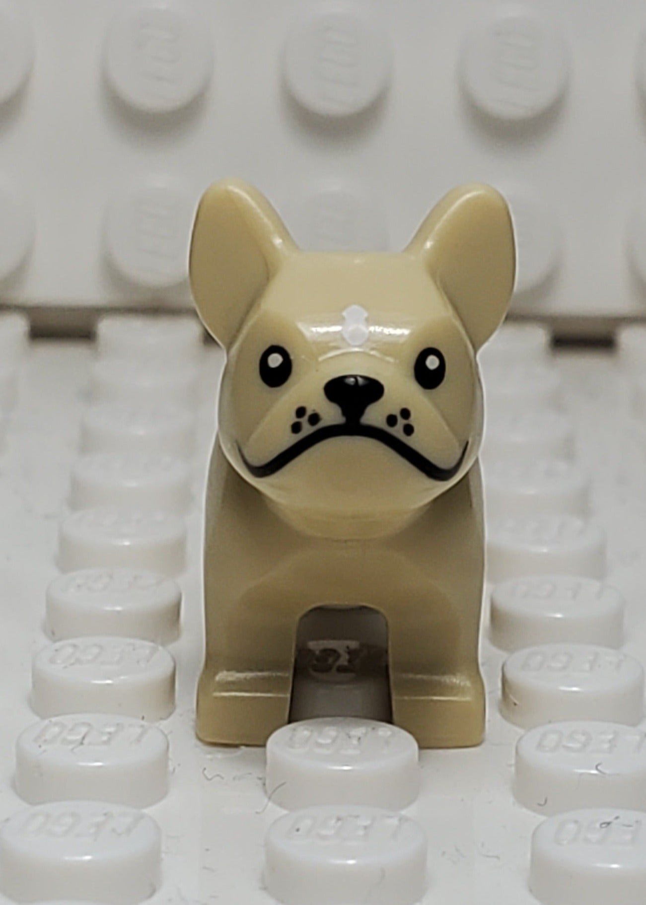 Helt ny, Lego Dyrefigur, French Bulldog