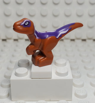 Dinosaur Baby with Dark Purple Back LEGO® Animals LEGO®