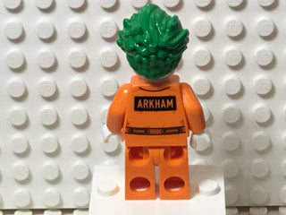 The Joker, sh0343 Minifigure LEGO®