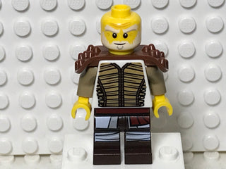 Wu Hero, njo0599 Minifigure LEGO®