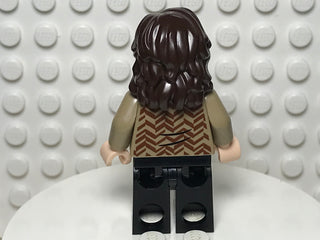 Sirius Black, hp371 Minifigure LEGO®