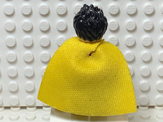Robin, sh0200 Minifigure LEGO®