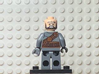 Pirate of Umbar, lor067 Minifigure LEGO®   