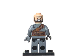 Pirate of Umbar, lor067 Minifigure LEGO®