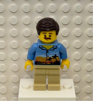 Hiker, Male Parent, cty0909 Minifigure LEGO®   