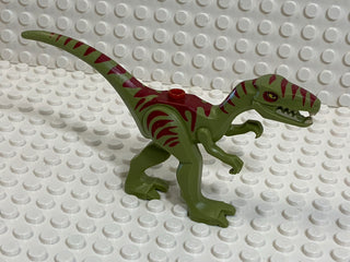 LEGO® Coelophysis Gallimimus Dinosaur LEGO® Animals LEGO® Olive Green, 98166pb02 Like New