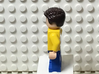 Truck Driver, sh0149 Minifigure LEGO®