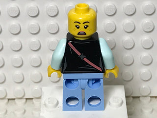 Parker L. Jackson, hs003 Minifigure LEGO®