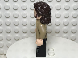Sirius Black, hp371 Minifigure LEGO®