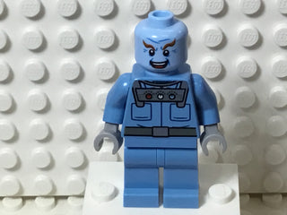 Mr. Freeze, sh0266 Minifigure LEGO®