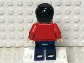 Dick Grayson, sh0236 Minifigure LEGO®