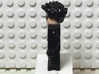 Nightwing, sh0085 Minifigure LEGO®