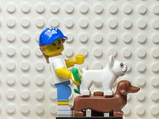 Dog Sitter, col19-9 Minifigure LEGO®