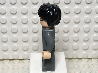 Harry Potter, hp056 Minifigure LEGO®