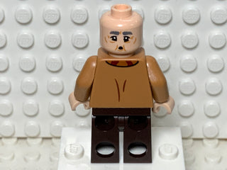 Mr. Flume, hp291 Minifigure LEGO®   