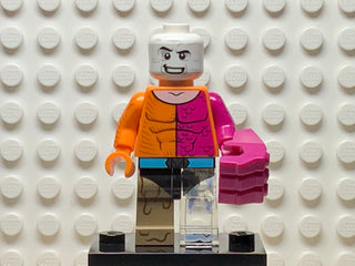 Metamorpho, colsh-12 Minifigure LEGO®