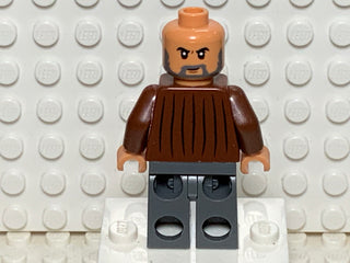Dr. Wu, jw083 Minifigure LEGO®   