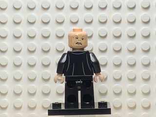 Professor Quirinus Quirrell, hp146 Minifigure LEGO®