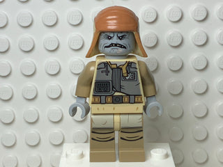 Pao, sw0798 Minifigure LEGO®