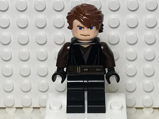 Anakin Skywalker - Large Eyes, Dark Brown Arms, sw0317 Minifigure LEGO®