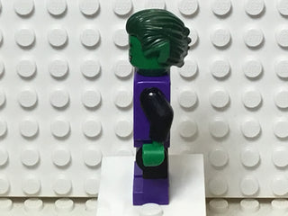 Beast Boy, sh0198 Minifigure LEGO®