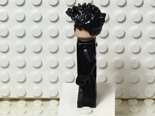 Nightwing, sh0294 Minifigure LEGO®
